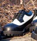 Zapatos Steel 4 Ojales Alcapone